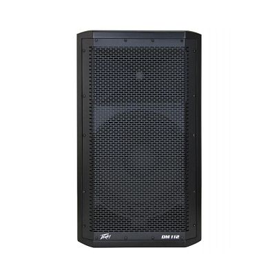 Peavey DM 112