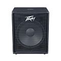 Peavey PV 118D