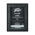 Peavey PV 118