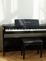 P-150BK