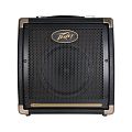 Peavey Ecoustic20