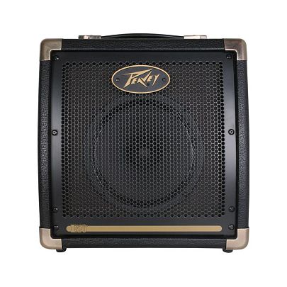 Peavey Ecoustic20