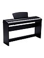 Sai Piano P-9BK