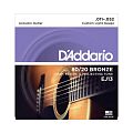 D'Addario EJ13