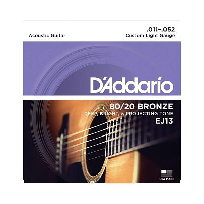 D'Addario EJ13